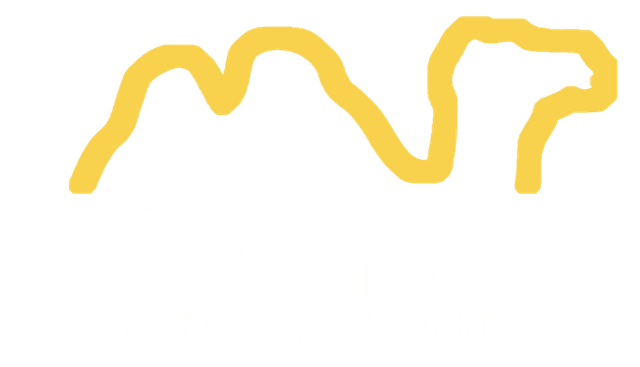 Camel Global Ltd logo