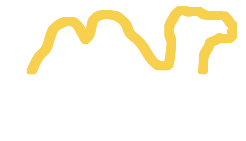 Camel Global Ltd logo